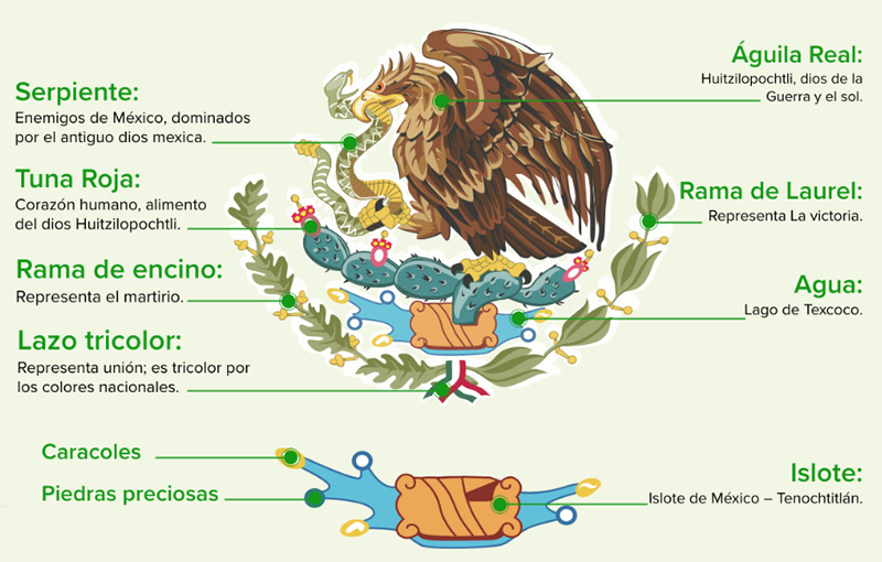 escudo descubre su definicion y concepto sorprendente