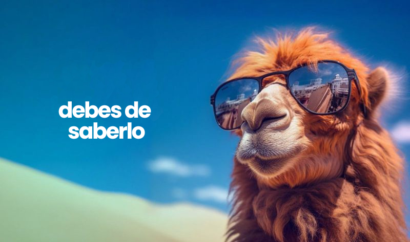 esenciales descubre su significado y sinonimos claves
