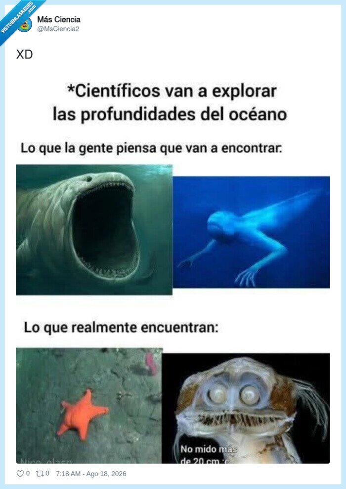 ESPECTATIVAS O EXPECTATIVAS Descubre la VERDAD 2 espectativas o expectativas descubre la verdad