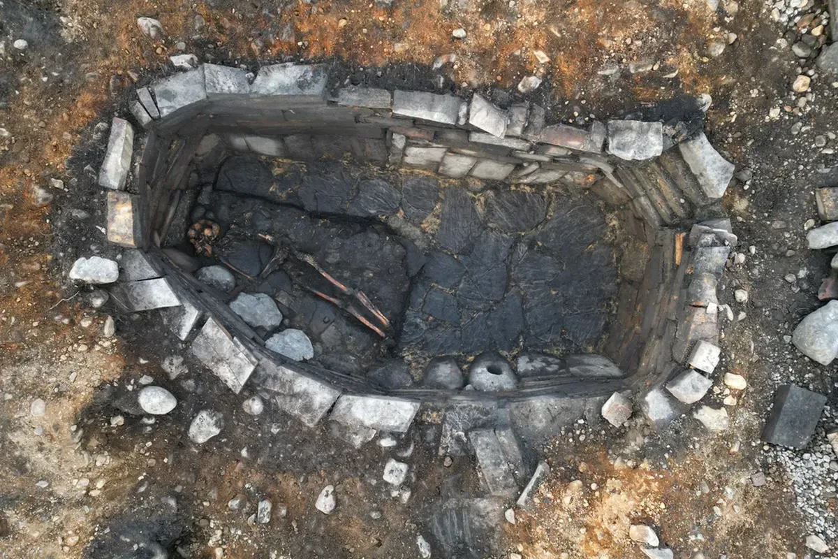 esqueletos descubre el misterio del esqueleto