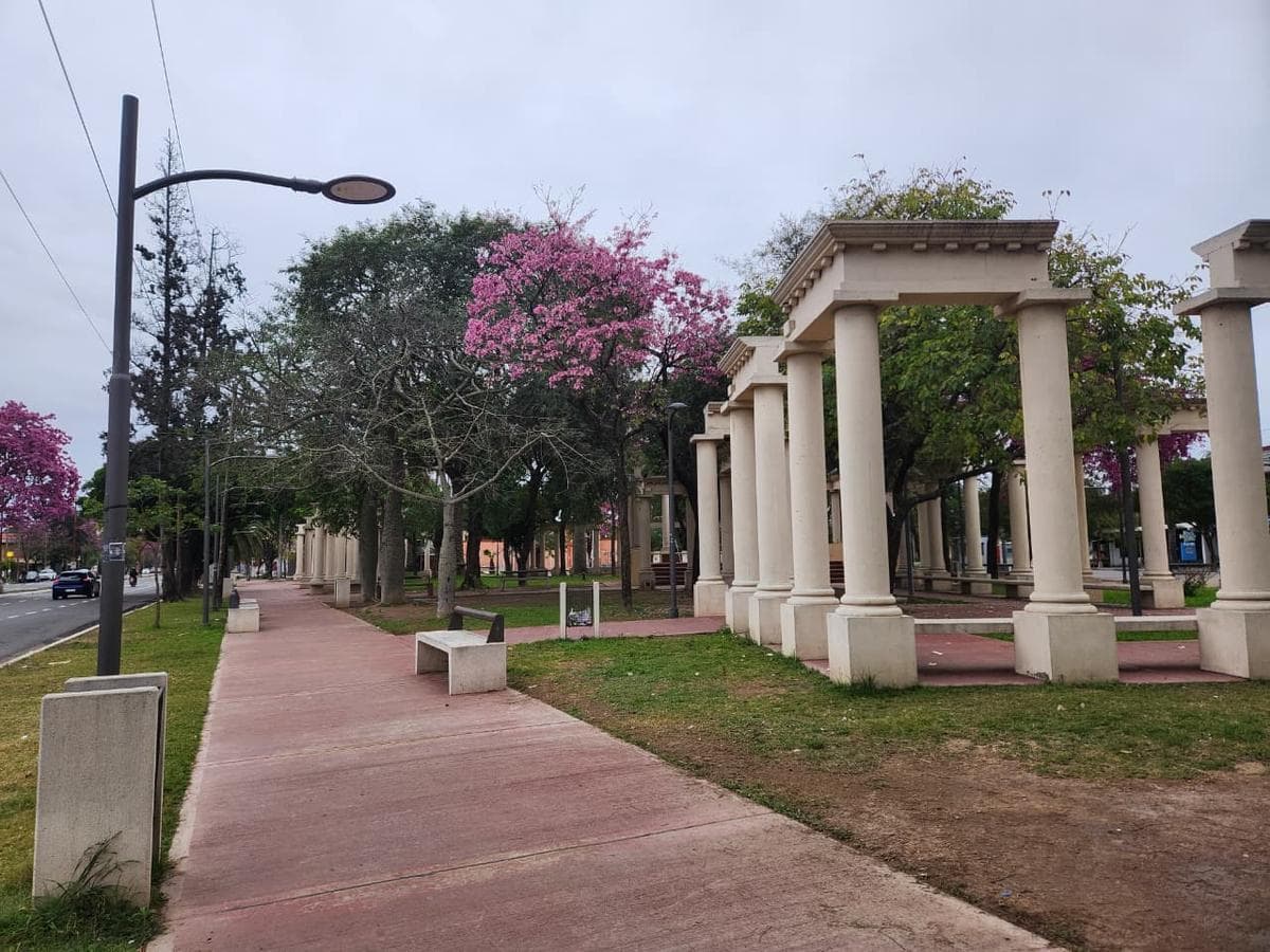 estero definicion y curiosidades que te sorprenderan