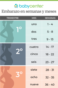 Etapas del DESARROLLO PRENATAL: Qué SORPRENDEN 2 etapas del desarrollo prenatal que sorprenden