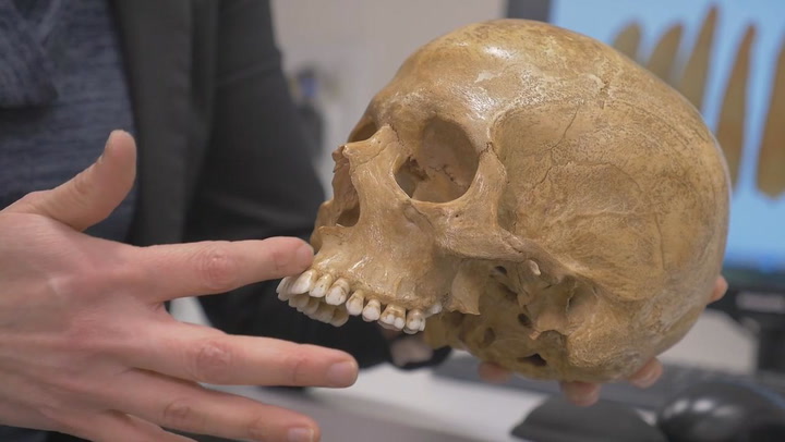 evolucion biologica secretos que transforman la vida