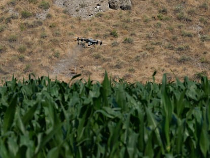 Fertilizantes: Beneficios Clave que no Puedes Ignorar 2 fertilizantes beneficios clave que no puedes ignorar