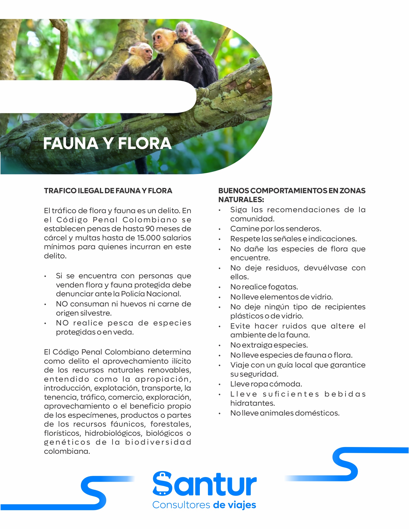 flora y fauna descubre 100 ejemplos increibles