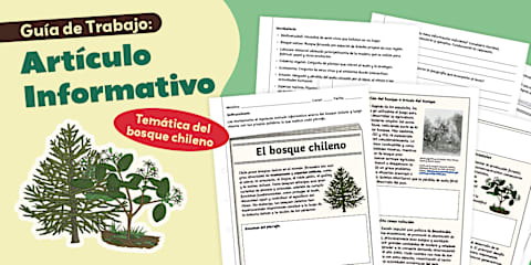 folletos informativos descubre sus caracteristicas clave