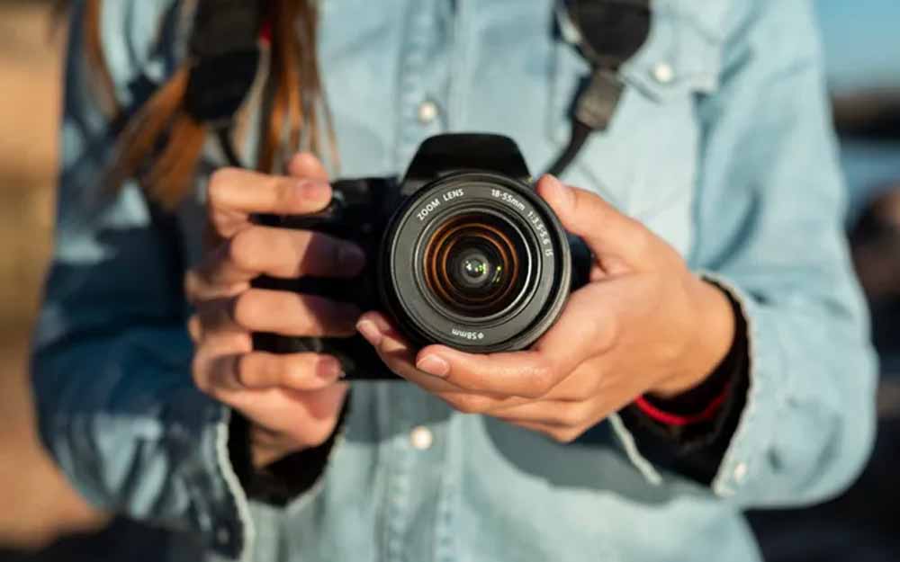 Fototropismo: Su Impacto y Beneficios Sorprendentes 2 fototropismo su impacto y beneficios sorprendentes
