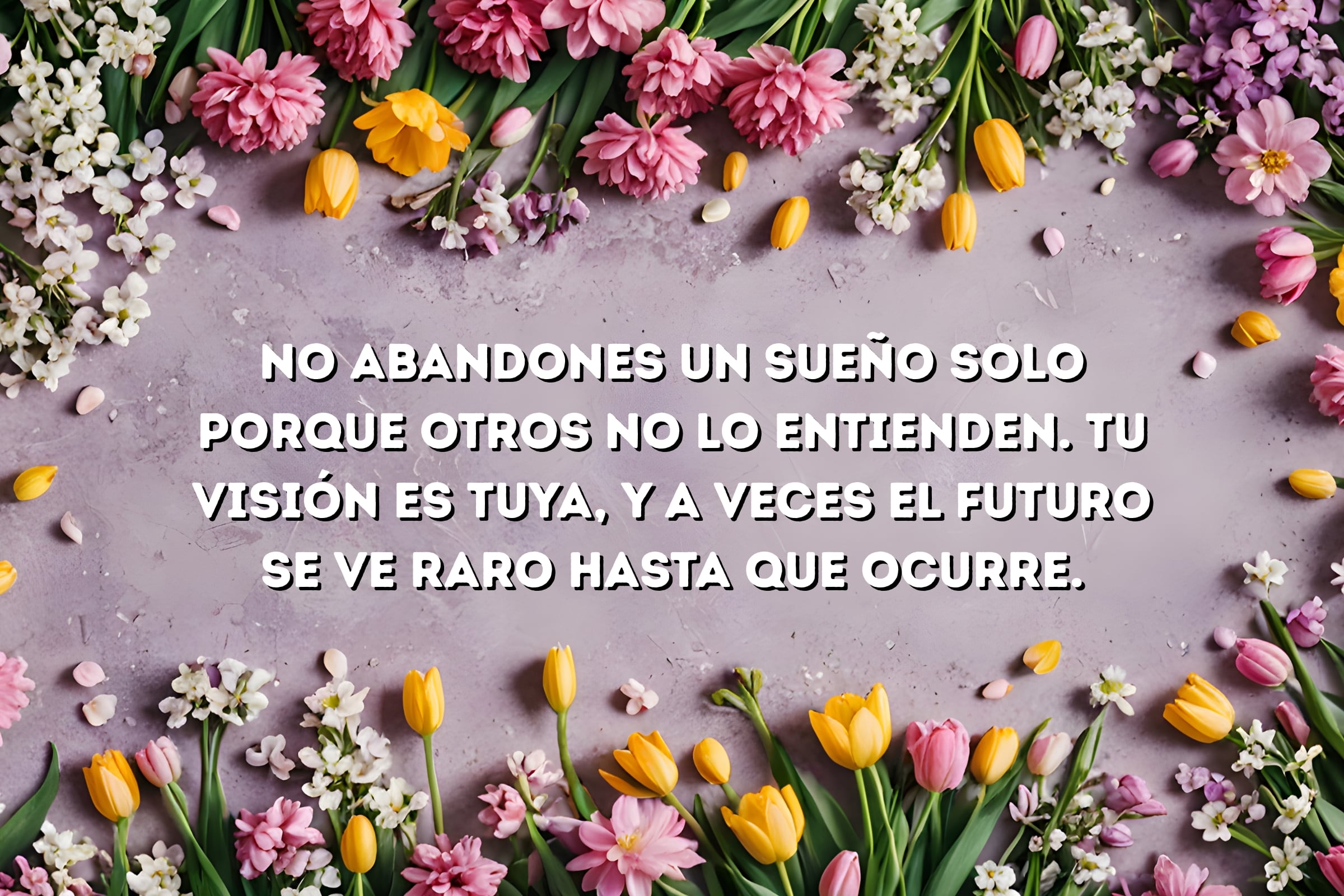frases feministas 125 pensamientos que transforman