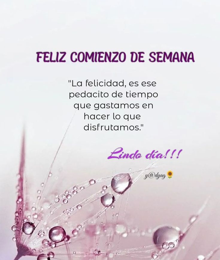 frases fin de semana descubre 120 inspiradoras