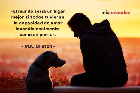 Frases PARA TU PERRO que DESPERTARÁN un MAR de AMOR 2 frases para tu perro que despertaran un mar de amor