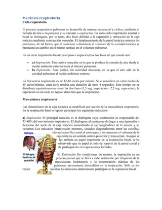 frecuencia respiratoria normal que es y su importancia
