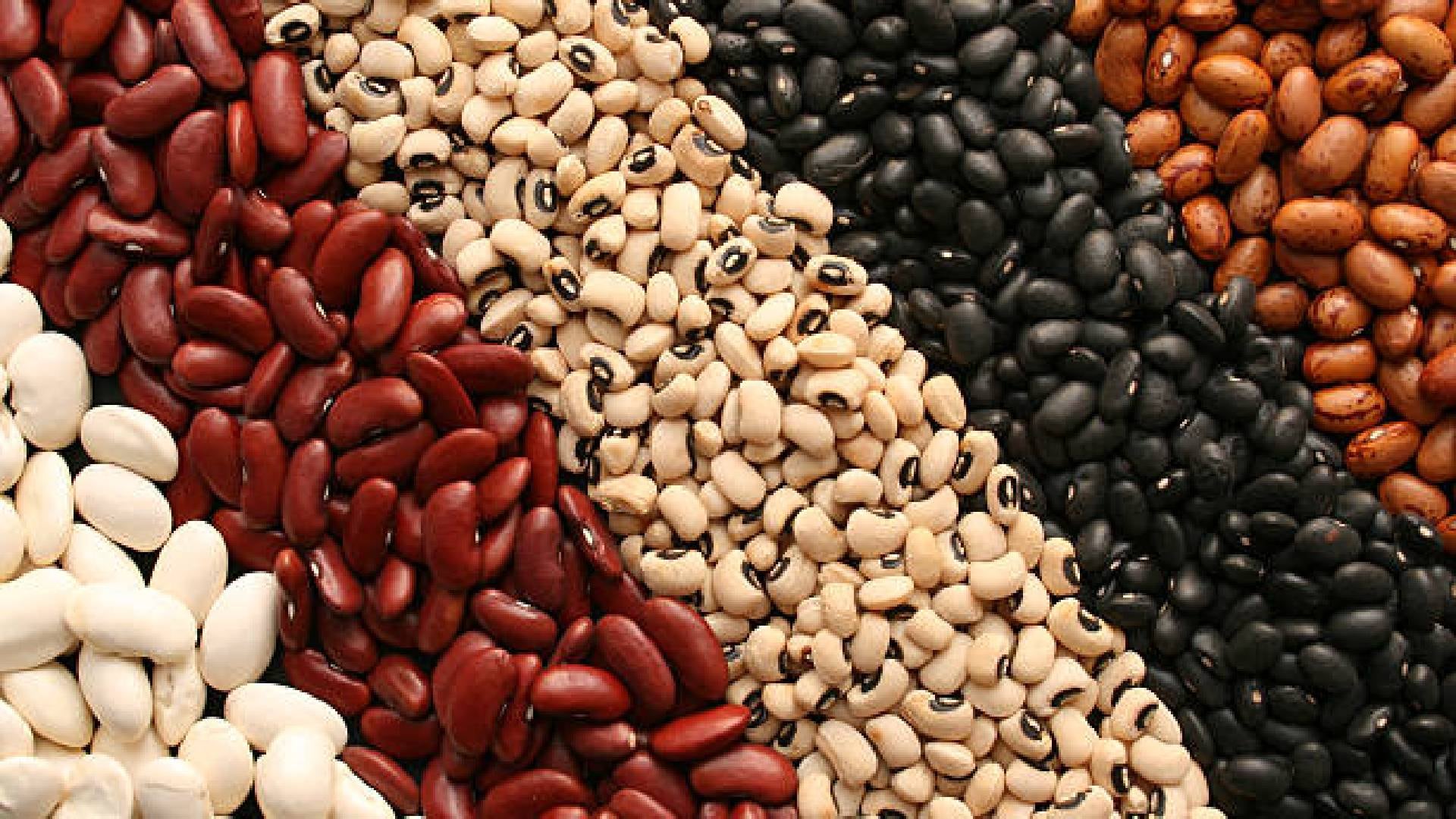 Frijol: Su Nombre Científico y Sorprendentes Beneficios 2 frijol su nombre cientifico y sorprendentes beneficios