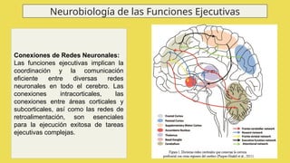 Funciones Ejecutivas: 11 Claves Esenciales del Cerebro 2 funciones ejecutivas 11 claves esenciales del cerebro