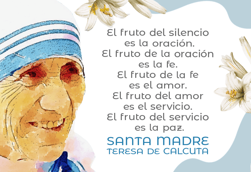 gallardia descubre como transformara tu vida
