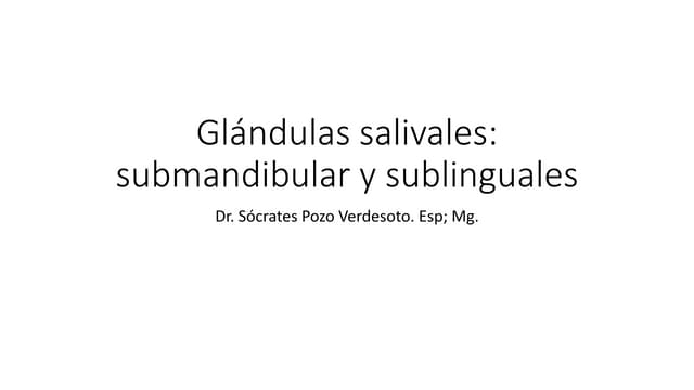 Glándula Submandibular: Funciones y Secretos Revelados 2 glandula submandibular funciones y secretos revelados
