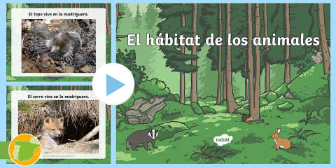 HÁBITAT: Descubre su SIGNIFICADO y TIPOS Sorprendentes 2 habitat descubre su significado y tipos sorprendentes