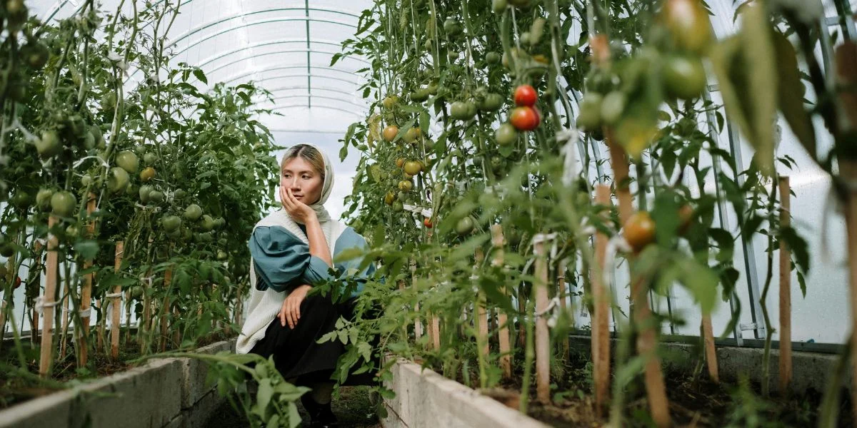 Horticultura: QUÉ ES y SUS BENEFICIOS IMPRESIONANTES 2 horticultura que es y sus beneficios impresionantes