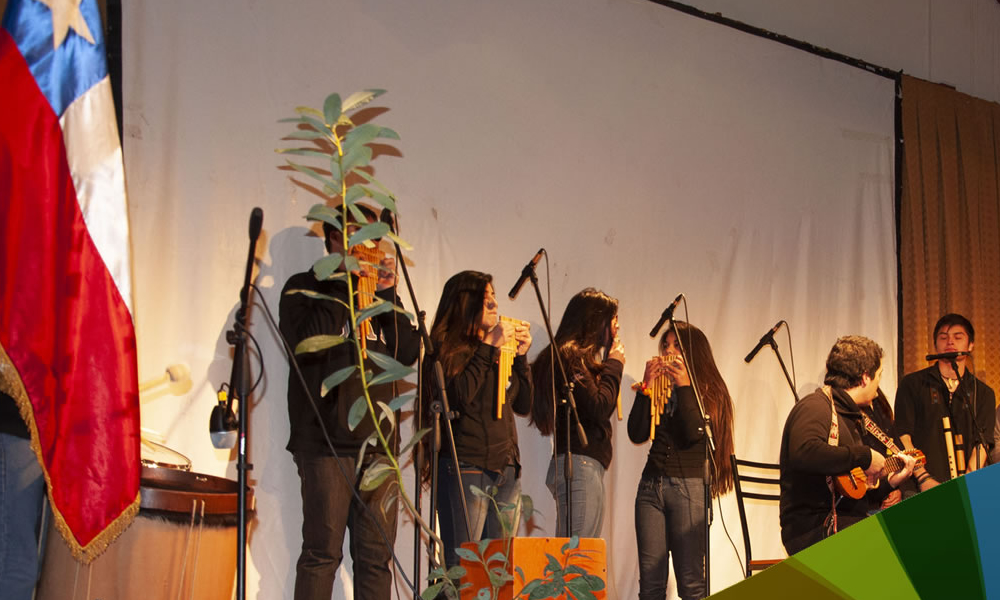 impacto de la diversidad cultural ejemplos sorprendentes