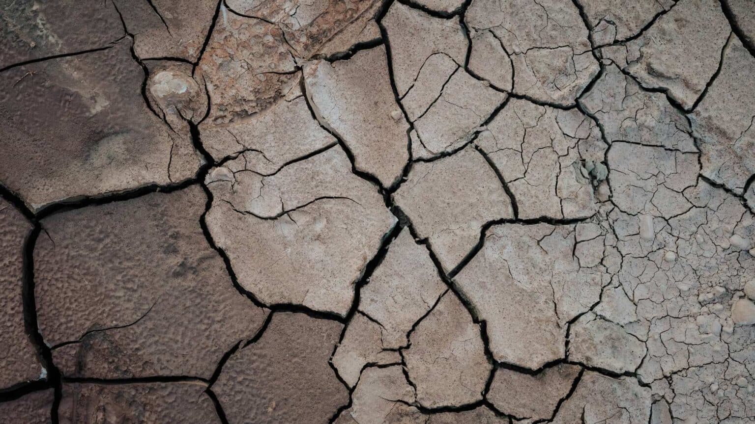 impactos sorprendentes de los componentes del ambiente