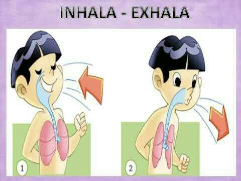 inhalar que es la inhalacion y por que es importante