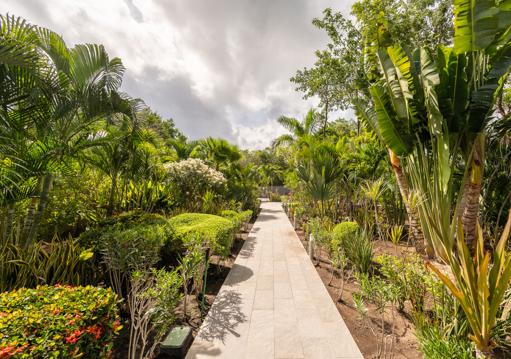 jardines botanicos descubre su magia y propositos