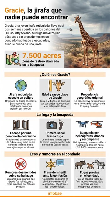 JIRAFAS: ¡DESCUBRE sus IMPACTANTES CARACTERÍSTICAS! 2 jirafas descubre sus impactantes caracteristicas