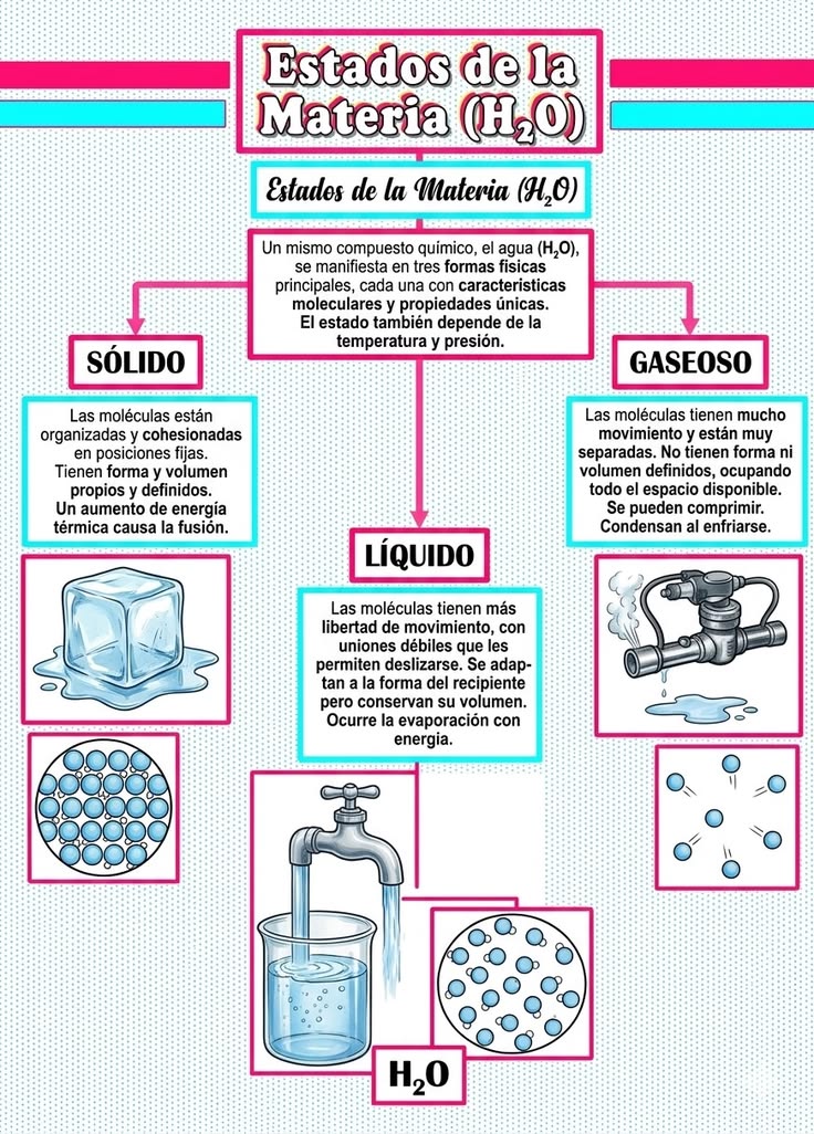 la materia cuales son sus asombrosas interacciones