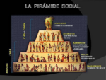 la sociedad descubre como se organizan y evolucionan