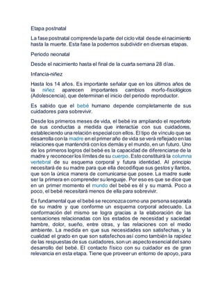 las 9 etapas del ciclo de vida descubrelas ahora