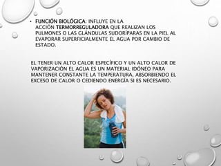 las propiedades intensivas por que son vitales