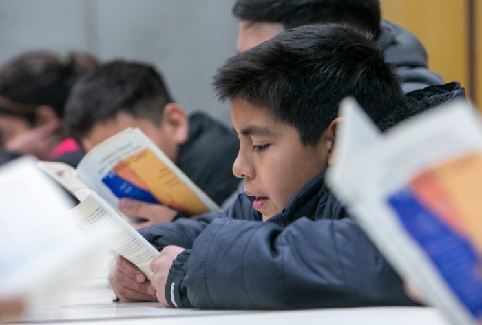 Lectura Libre: Por qué es VITAL para la ESCUELA 2 lectura libre por que es vital para la escuela