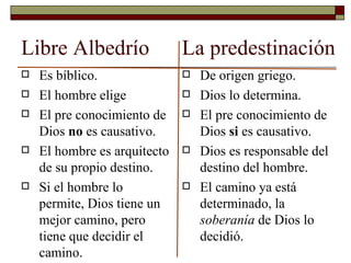 libre albedrio descubre su significado biblico