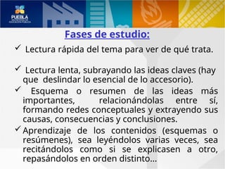 Literacidad: 4 Fases Clave para Desarrollarla Efectivamente 2 literacidad 4 fases clave para desarrollarla efectivamente