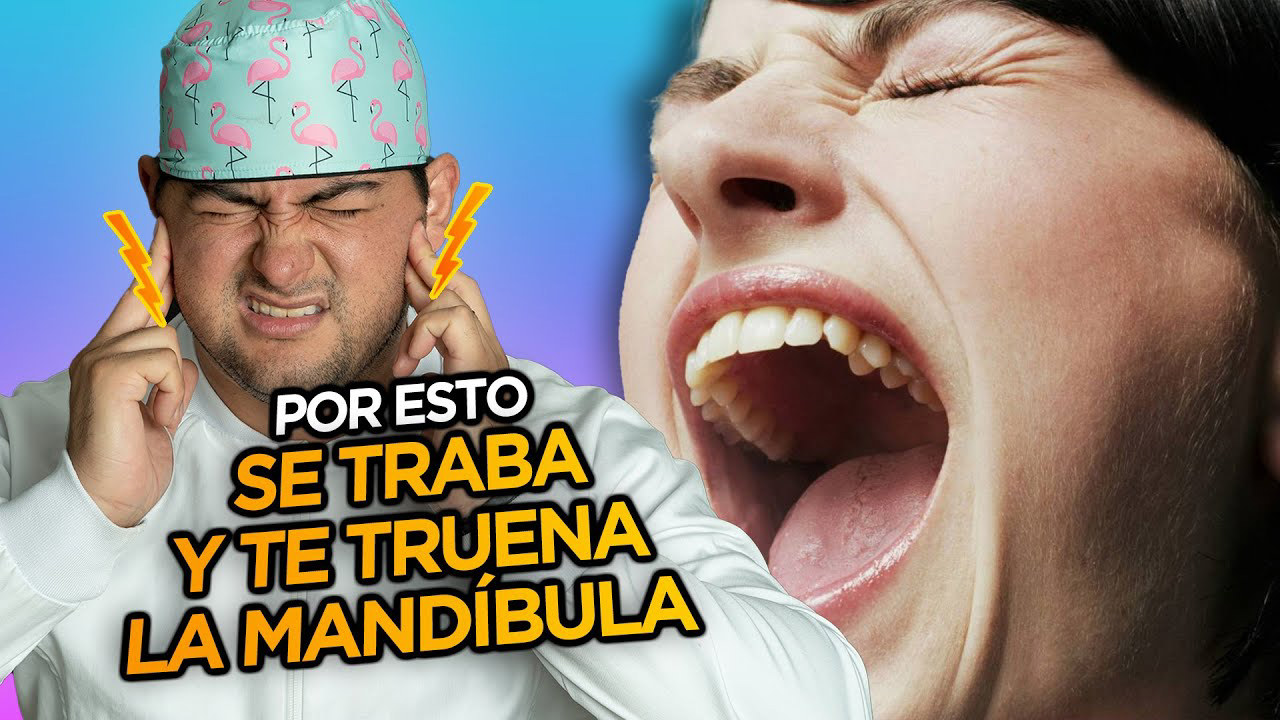 mandibulas que son descubre su definicion clave