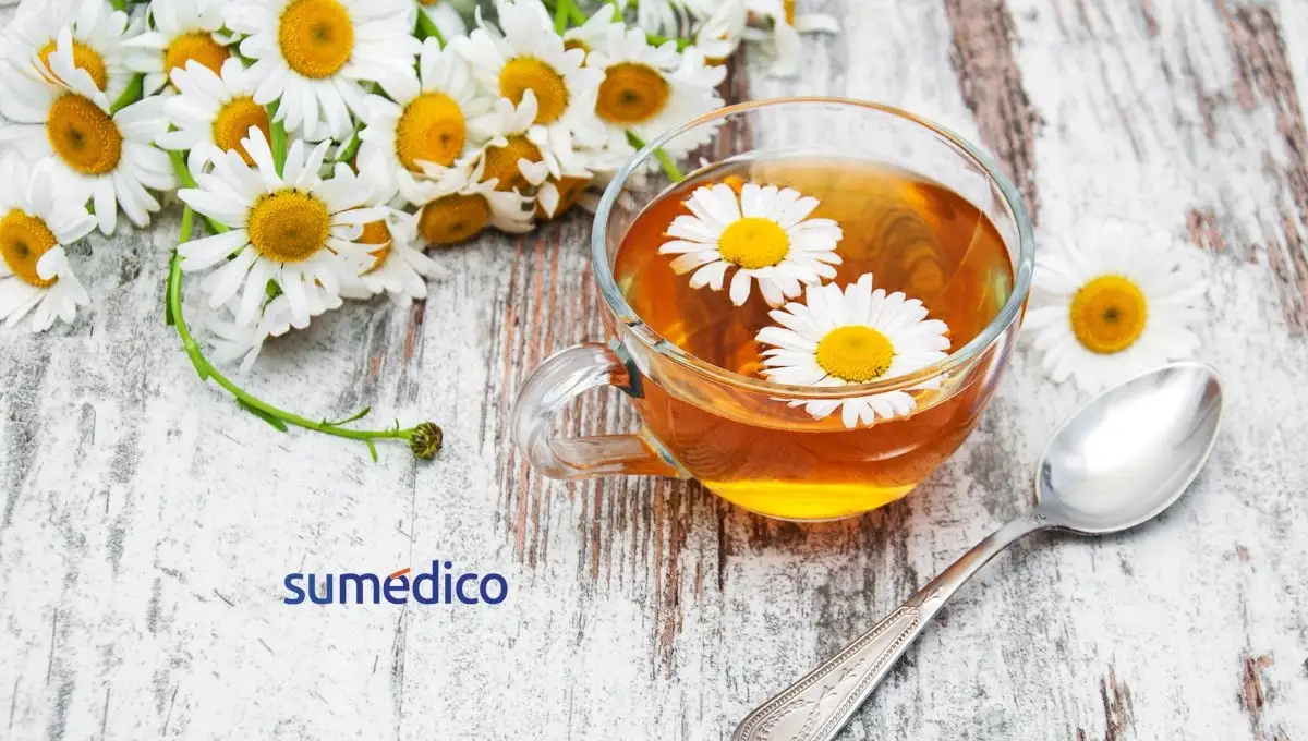 manzanilla 7 propiedades sorprendentes para tu salud