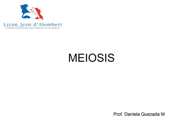 meiosis descubre sus fases con esquemas increibles