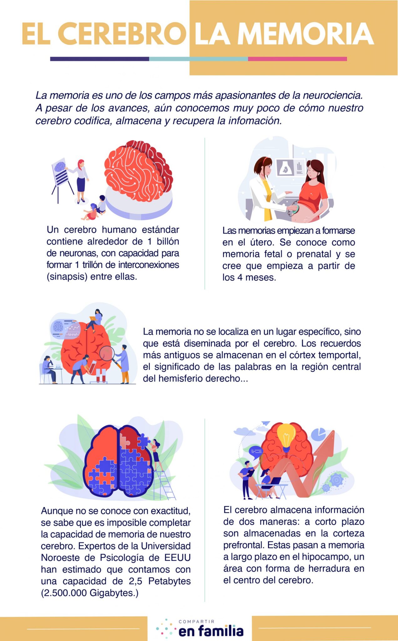 memoria declarativa sabes lo que realmente significa