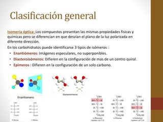 moleculas descubre su clasificacion y tipos asombrosos