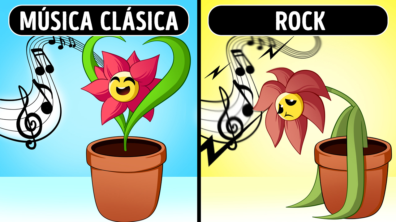 MÚSICA FOLCLÓRICA: Descubre los SECRETOS que Fascinan 2 musica folclorica descubre los secretos que fascinan