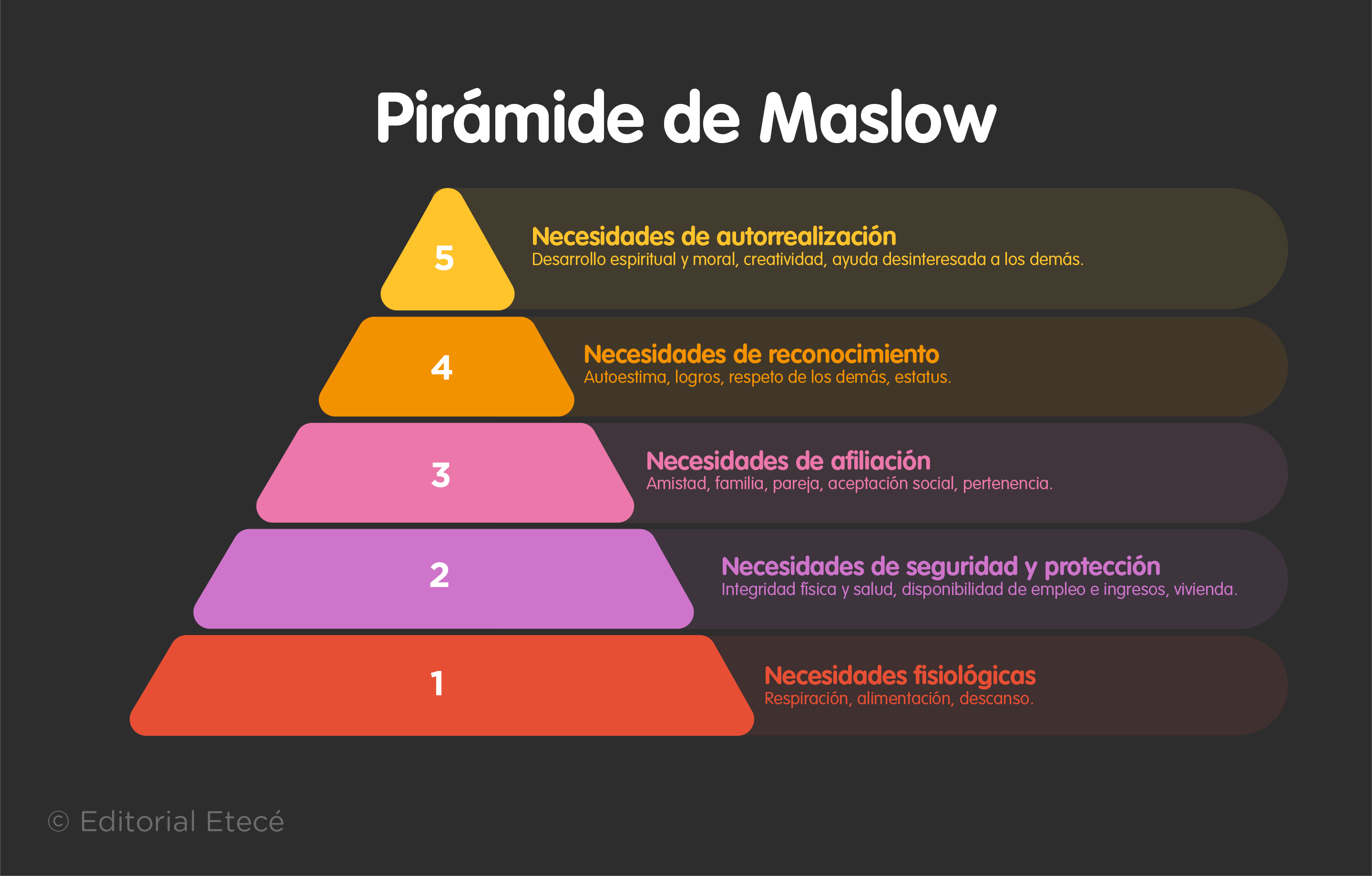 NECESIDADES FISIOLÓGICAS: Qué SON y Ejemplos INUSUALES 2 necesidades fisiologicas que son y ejemplos inusuales