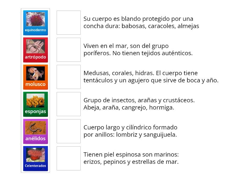 nematodos descubre sus caracteristicas y definicion