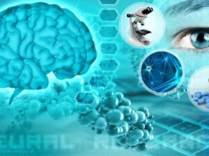 neurociencia y psicologia descubre su impacto transformador