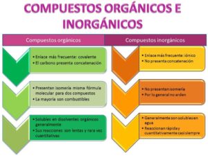 nutrientes organicos 20 ejemplos inorganicos que sorprenden