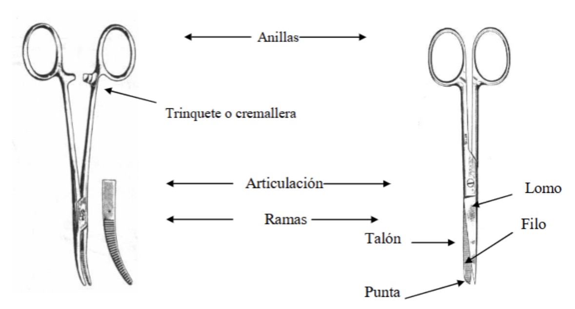 OCLUSIÓN: Claves y Tipos que Debes Conocer 2 oclusion claves y tipos que debes conocer