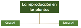 ORGANICEMOS nuestra INFORMACIÓN: Cómo hacerlo FÁCIL 2 organicemos nuestra informacion como hacerlo facil