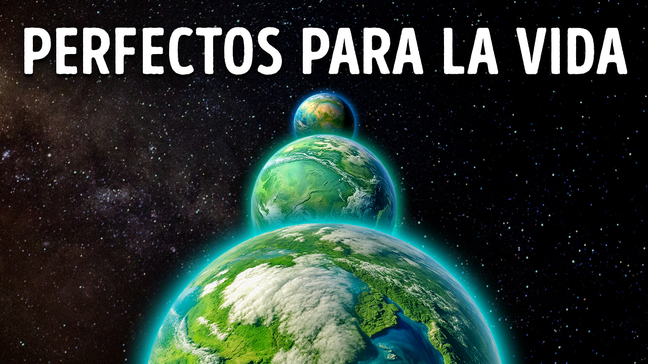 Organismos Pluricelulares: Descubre su Asombrosa Vida 2 organismos pluricelulares descubre su asombrosa vida