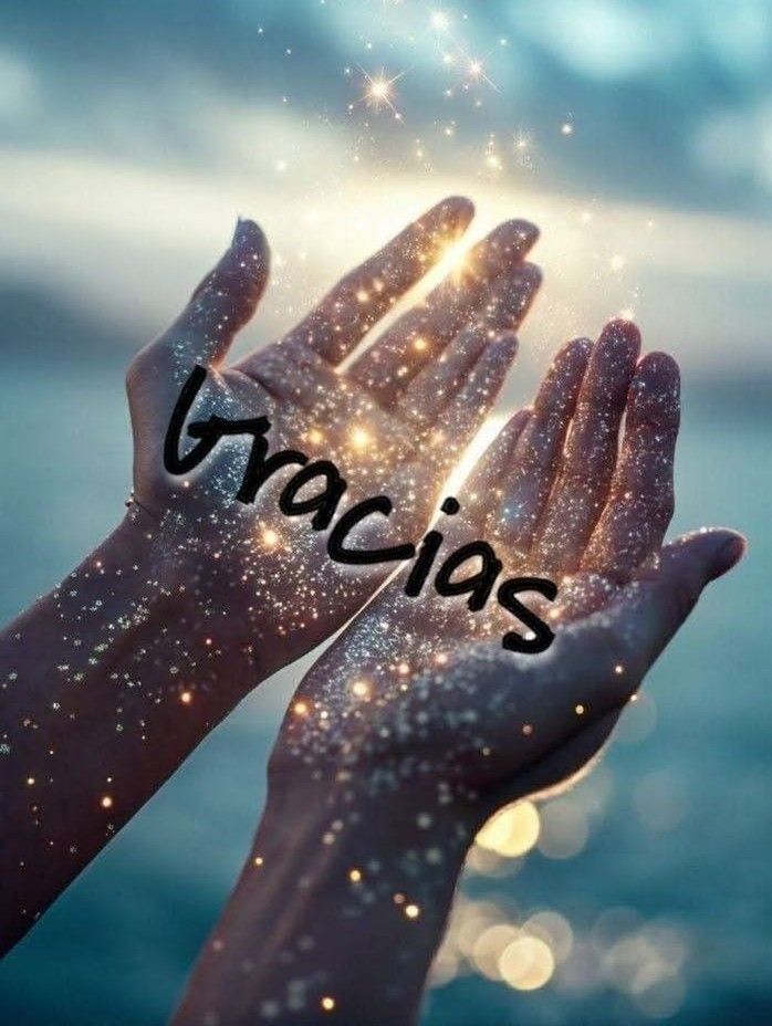 palabras de agradecimiento 100 frases que encantan
