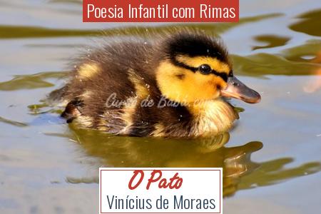 palabras que rimen con pato descubre los versos