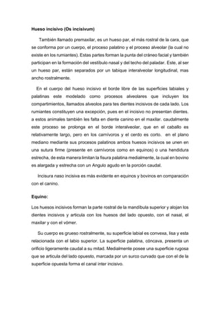 PALATINOS: Qué son y por qué son FUNDAMENTALES 2 palatinos que son y por que son fundamentales