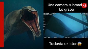 paleozoico descubre animales y etapas sorprendentes